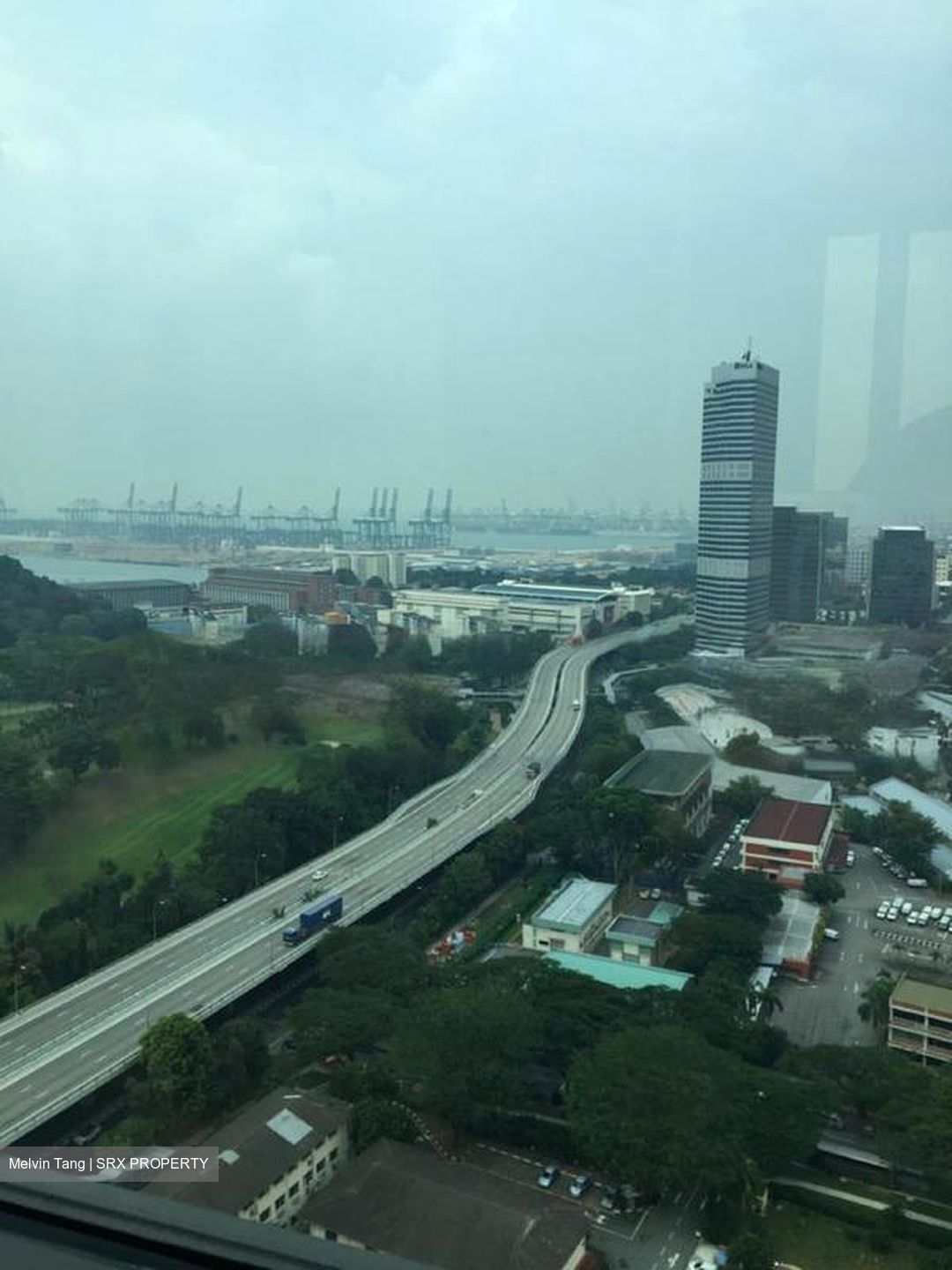 Skyline Residences (D4), Condominium #423129221